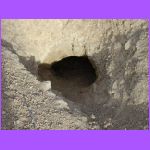 Praire Dogs Hole.jpg